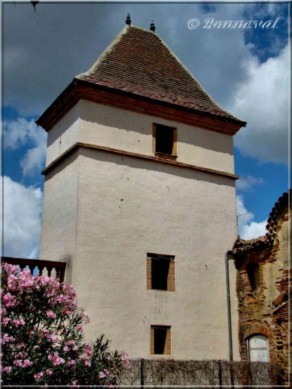 Pigeonnier Maison Serres Grenade-sur-Garonne