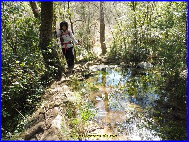 Gorges du Caramy, des grottes