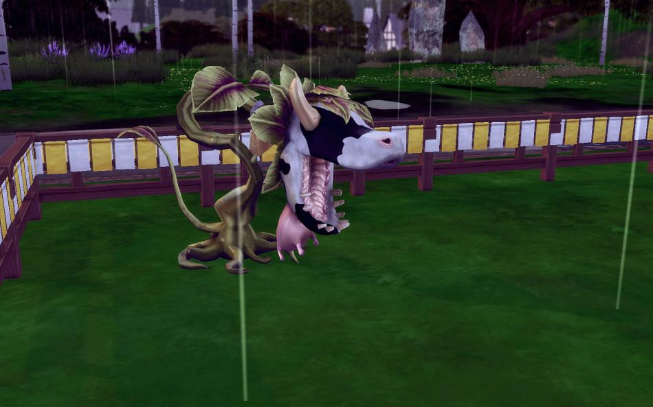 [CALF] Printemps 3 - Semaine 12 - Jours 82 à 84