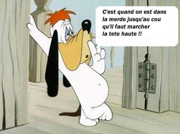 Humour du vendredi ... !!!