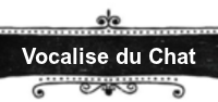 Notre  CHAT