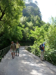 le pont sur la Siagne