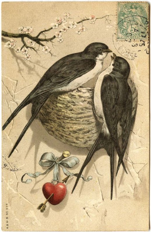 Image036.jpg