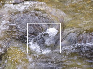 LES EMANANTS ANIMAUX 2