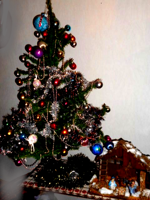 C'est l'histoire du sapin de Noël et …....1/2