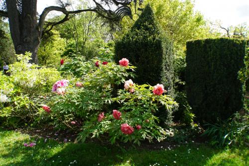 Prieuré d'Orchaise
