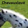 chevauxlove