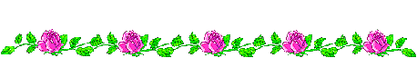 libelules 2