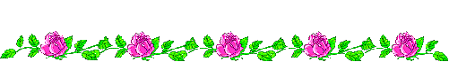 libelules 2