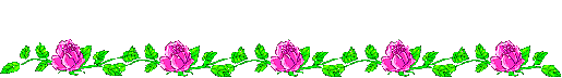 libelules 2