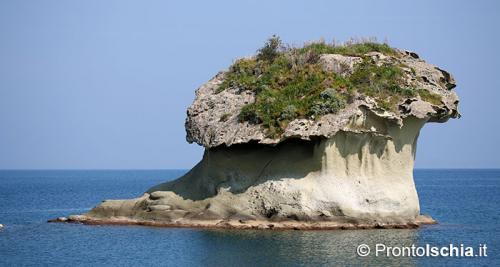 LES ROCHERS CHAMPIGNONS