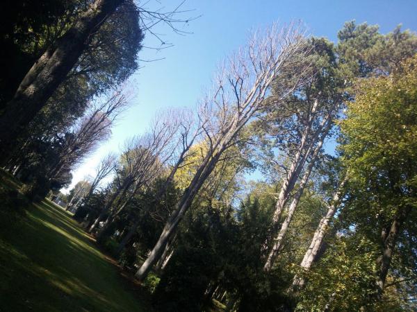 Le Parc du Sacré-Coeur d'Issoudun
