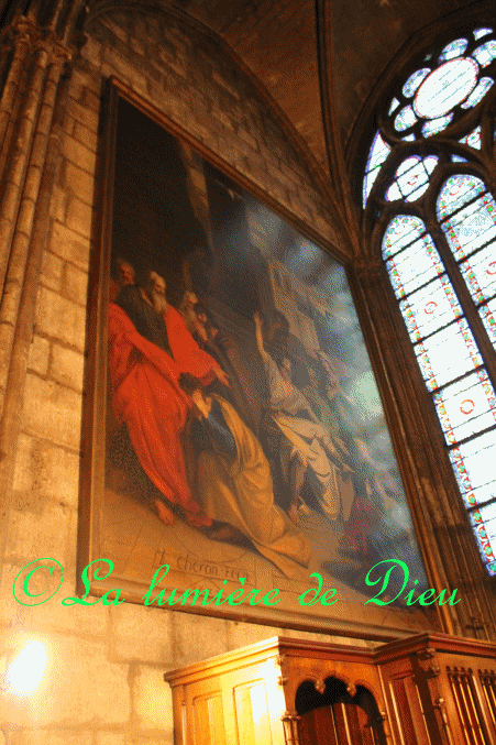 La cathédrale Notre-Dame de Paris