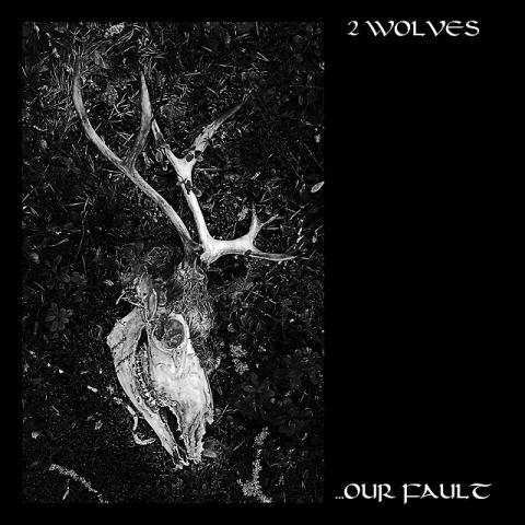 2 WOLVES - "Dreaming Beneath" Lyric Vidéo