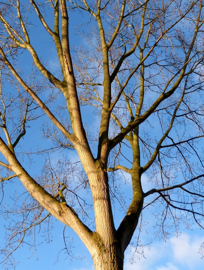 Le bonheur dans la nature