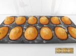 Madeleines au pralin