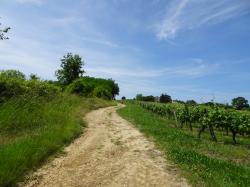 CR / RANDO 15 - RIONS - Lac de Laromet