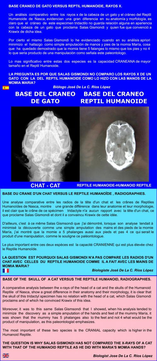 ALIEN PROJECT - Les momies du Pérou/5