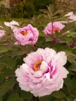 Weekend de Pâques en quelques photos 