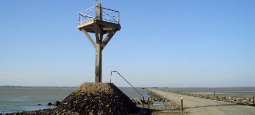 Ile de Noirmoutier  ( Vendée )