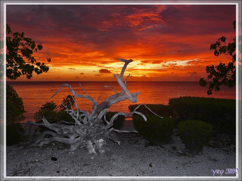 Coucher de soleil du 23/03/2009 vu côté lagon - Atoll de Fakarava - Tuamotu - Polynésie française