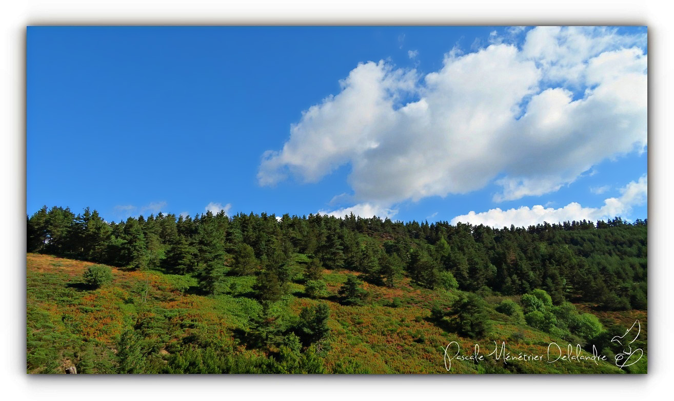 Balade au Mont Lozère
