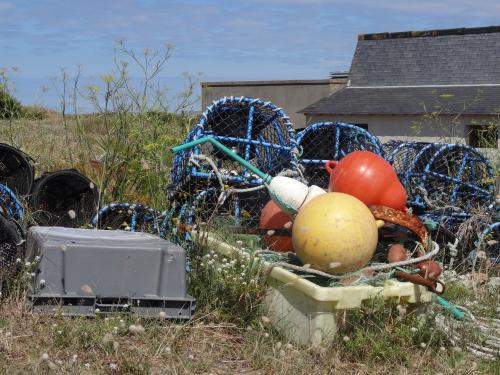 Su les chemins dHoedic , le port de l'Argol