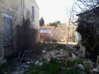 dÃ©bris et vÃ©gÃ©taux