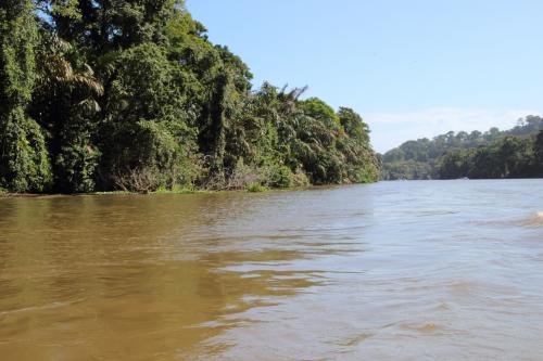 De Tortuguero au volcan Arenal, en car