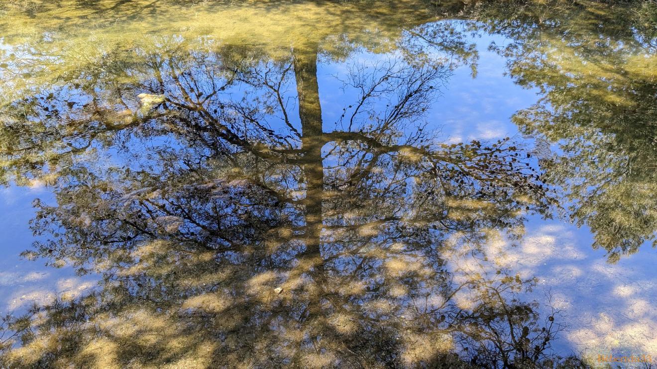 défi reflets d'Annie n°6