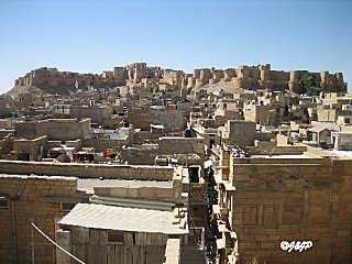 rajasthan 2 316marq
