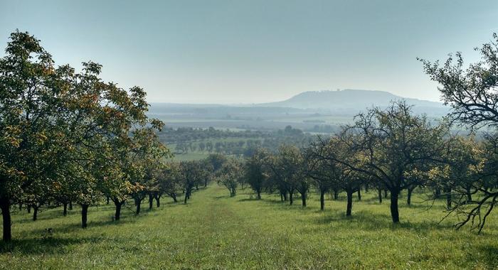 Département de la Meuse