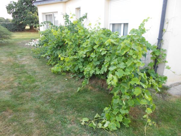 Un petit tour de jardin ... !!!