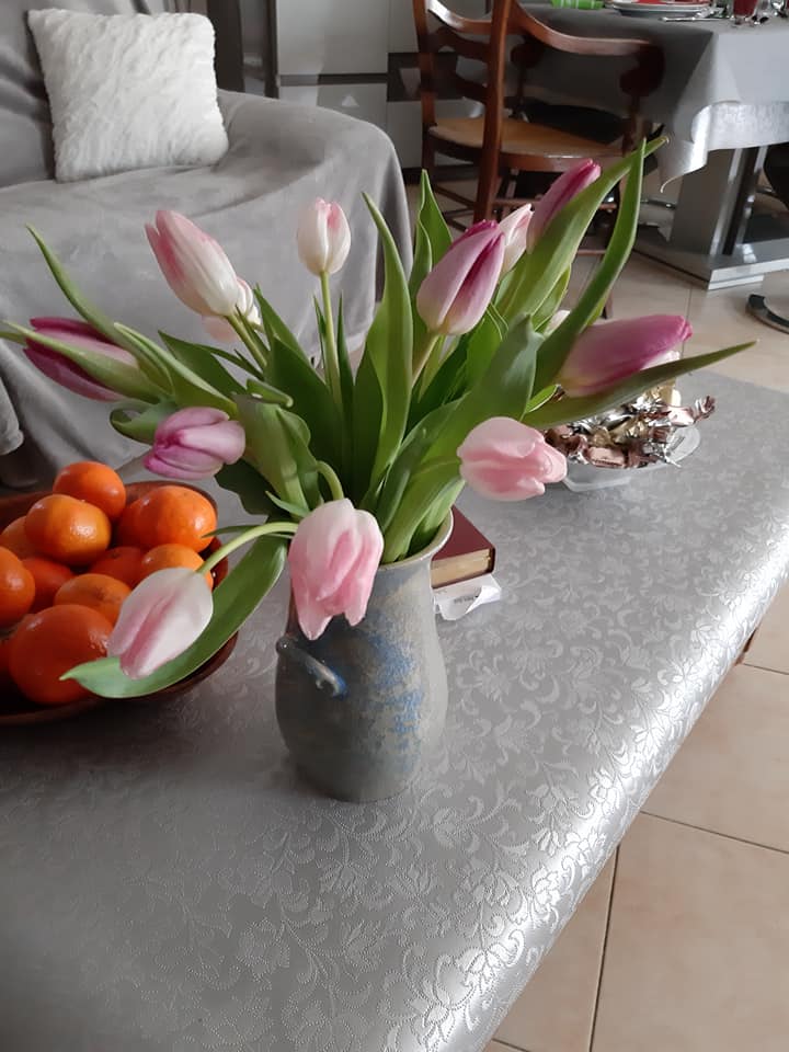 Tulipes !