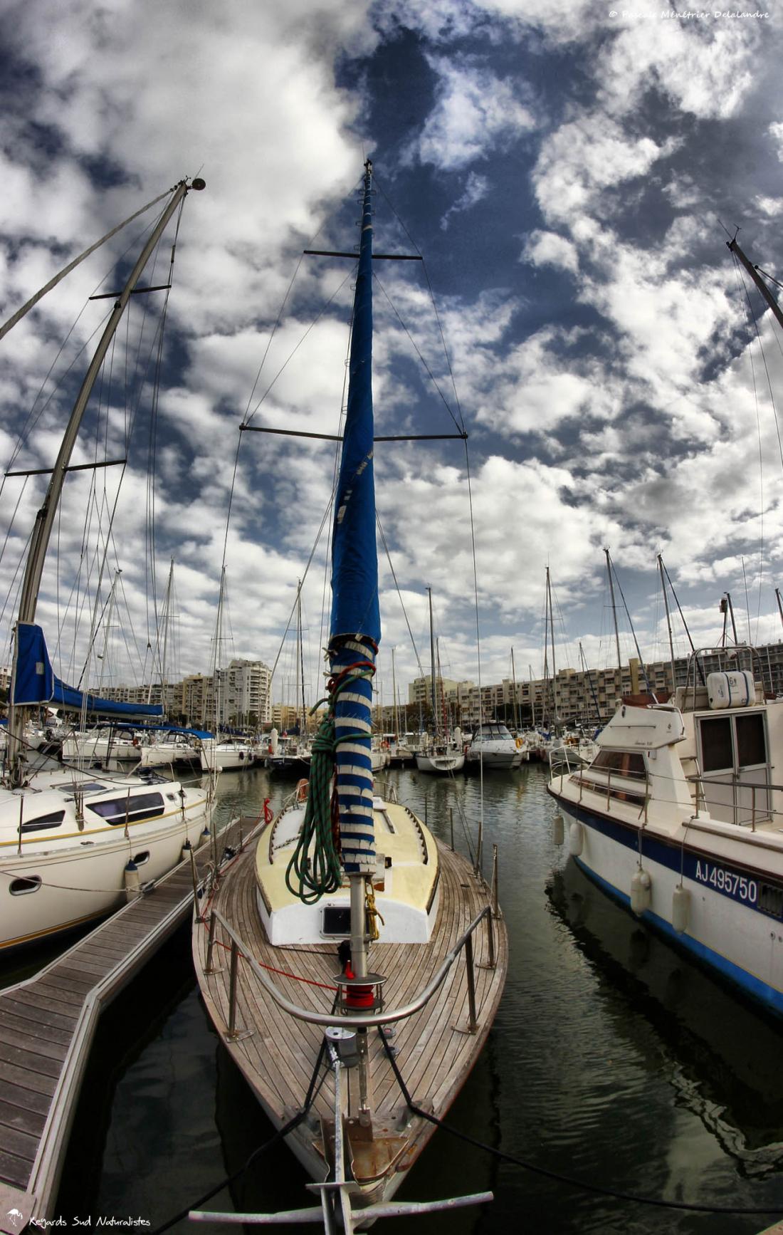 Port de Carnon