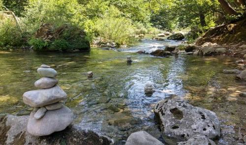 MONTAUROUX : les jardins du Mandarin & les bords de la Siagne