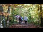 La randonnée du 11 novembre en forêt de Grimbosq