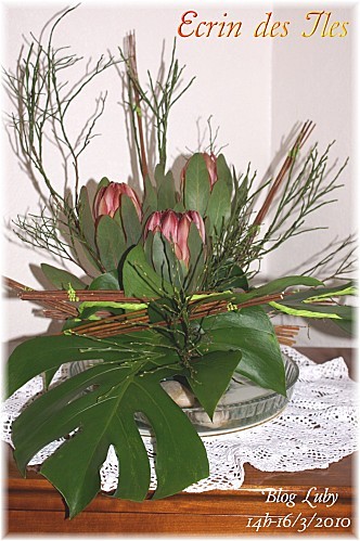 03 16 03 2010 ecrin des iles (4)