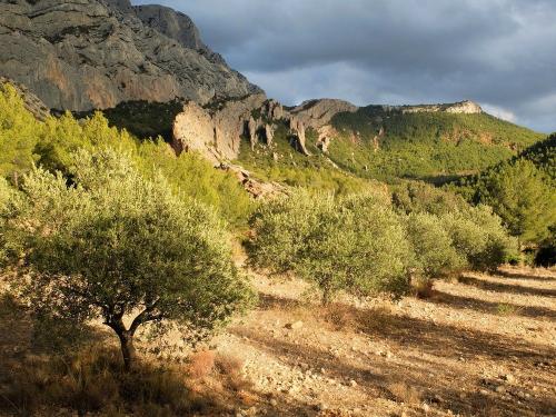 Montagne Sainte-Victoire (Bouches du Rhône)