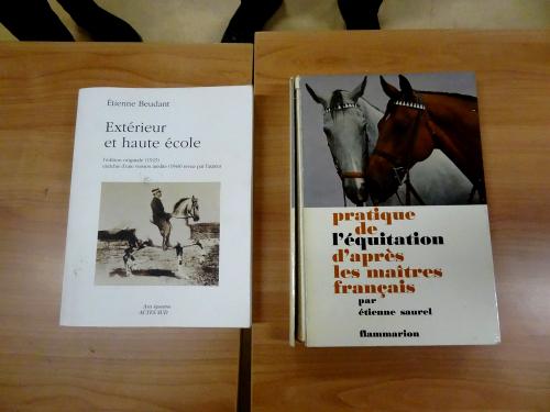 Epona 21, une nouvelle association d'amateurs de chevaux de loisirs, a vu le jour à Châtillon sur Seine