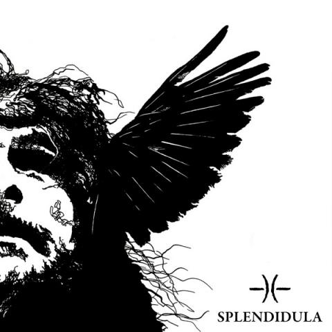 SPLENDIDULA - "Drocht" Clip