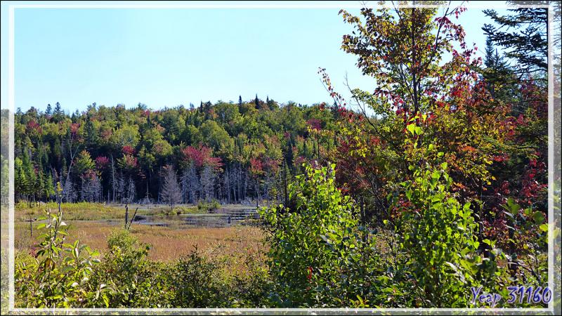 Débuts de couleurs d'automne sur la route vers Grandes-Piles - Lanaudière - Québec - Canada