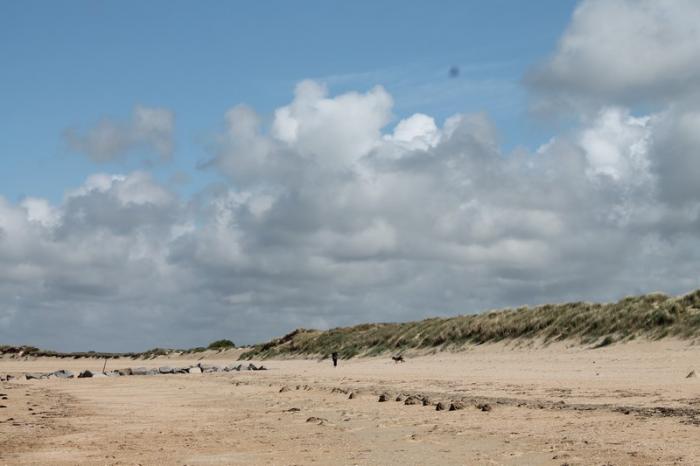 Département de la Manche 2ème partie