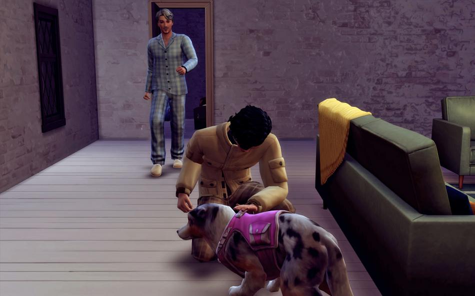 [CALF] Automne 2 - Semaine 10 - Jours 65 à 70