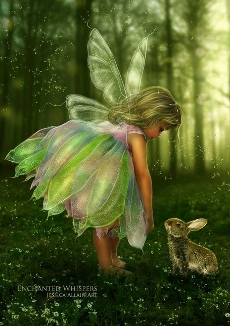 LES PLUS BELLES IMAGES DE FEES