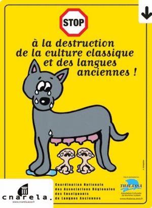 Quel avenir pour les langues anciennes, grec et latin ?