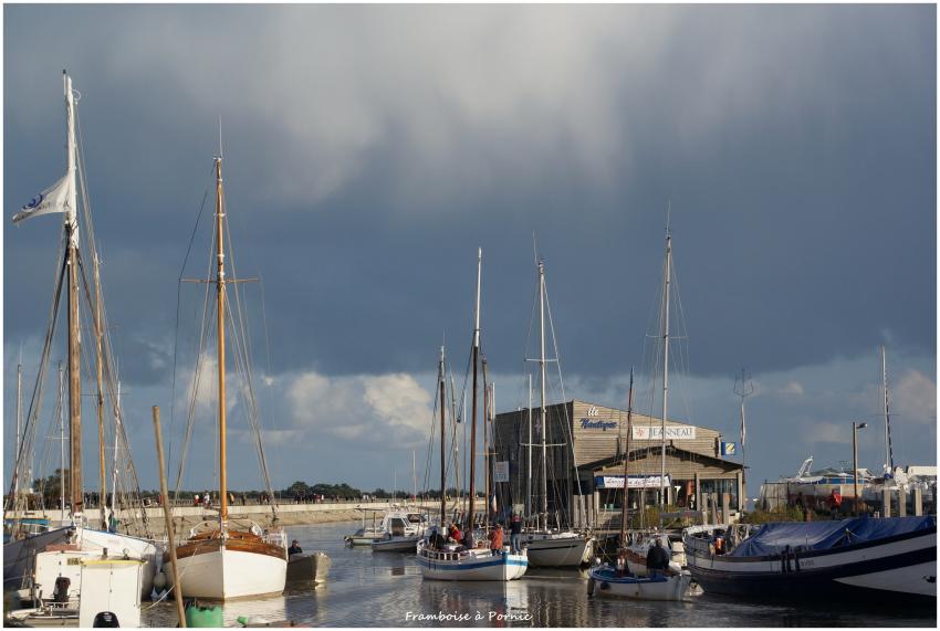 Réserve ornithologique Marais Mullembourg Noirmoutier en l' île 