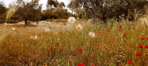 Patience et patience !