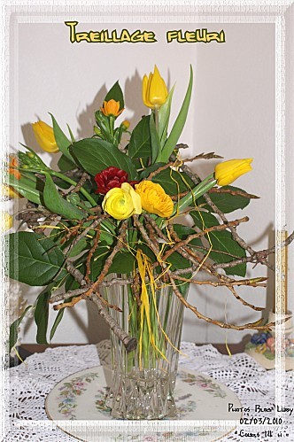 03 02 03 10 treillage fleuri (1)