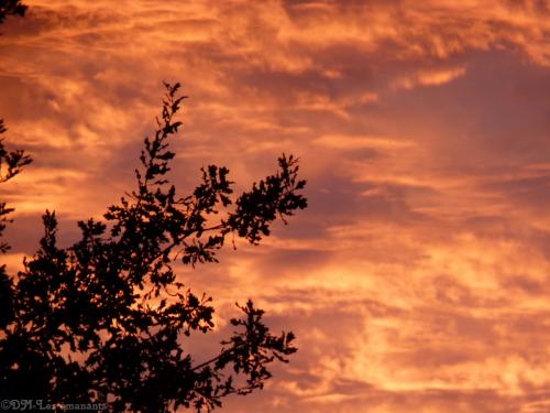 QUAND LE CIEL DEVIENT DIVIN !